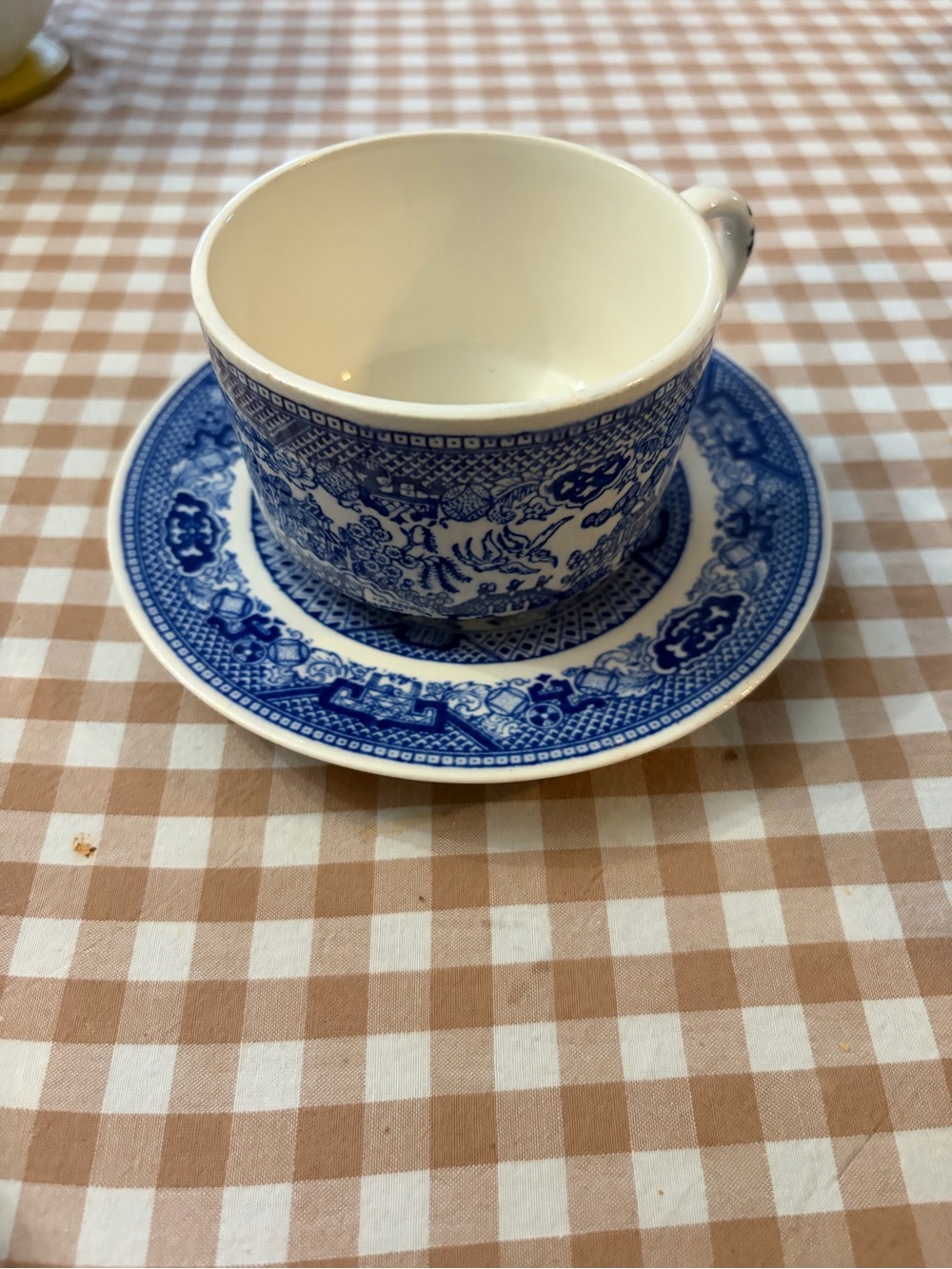 Blue Willow Porcelain Teacup & Saucer - Blue Pattern